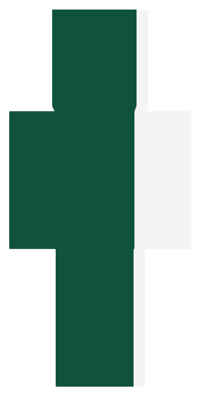 Pakistan baksida