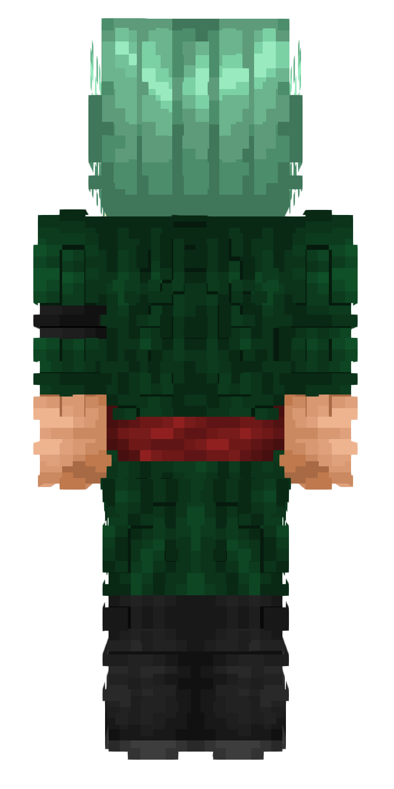 Zoro skin – сзади
