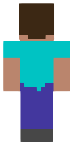 Simple Steve baksida