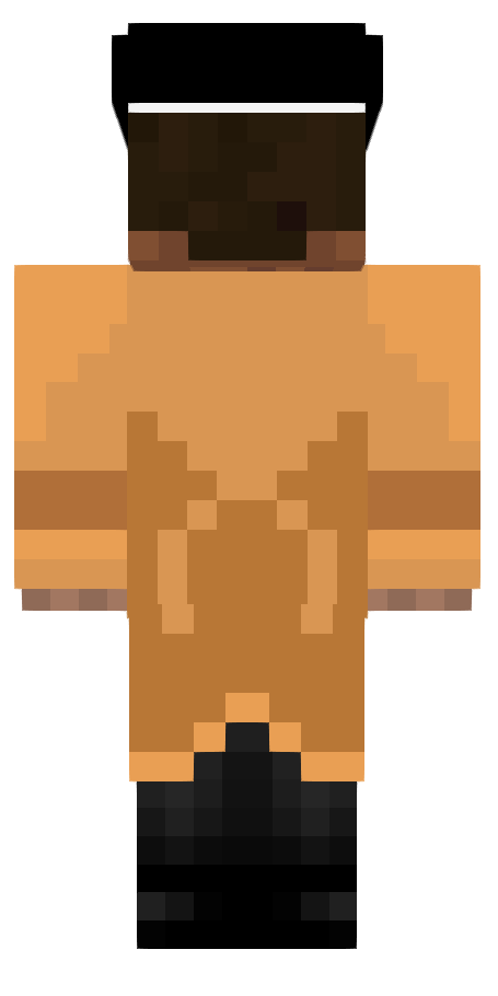 Mysterious Stranger V2 – tył