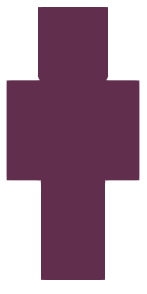 2006 – espalda