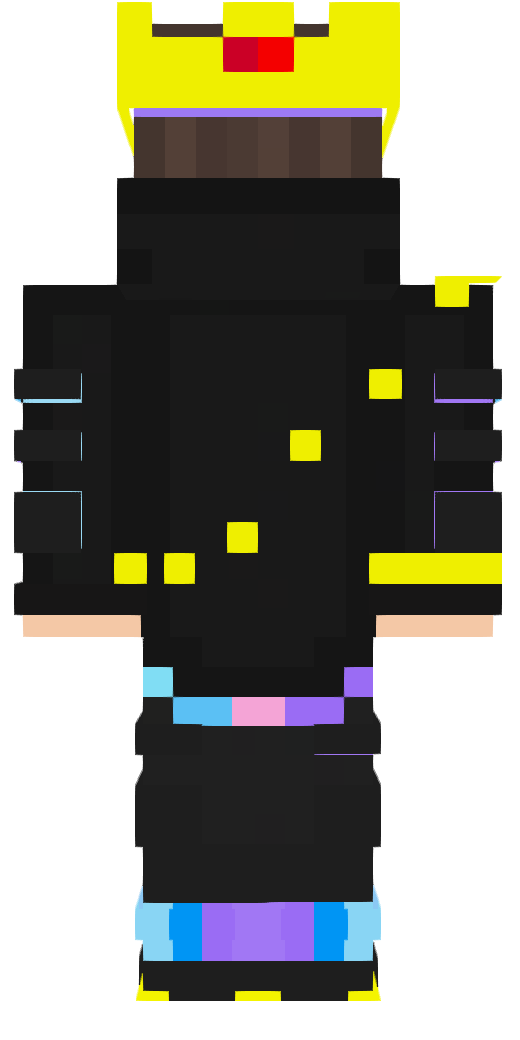 Sanishgamer – tył