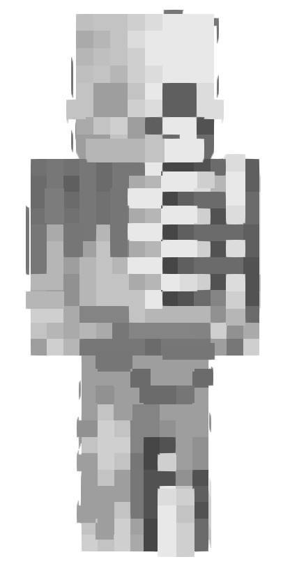 Skin Base