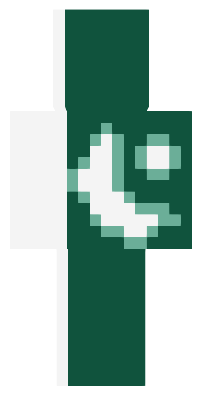 Скін Pakistan