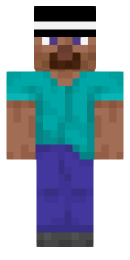 Skin Steve