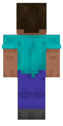 Backwards Steve skin