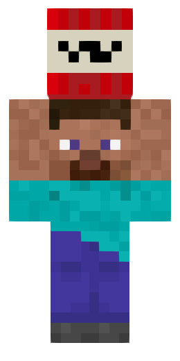 Skin tnt steve