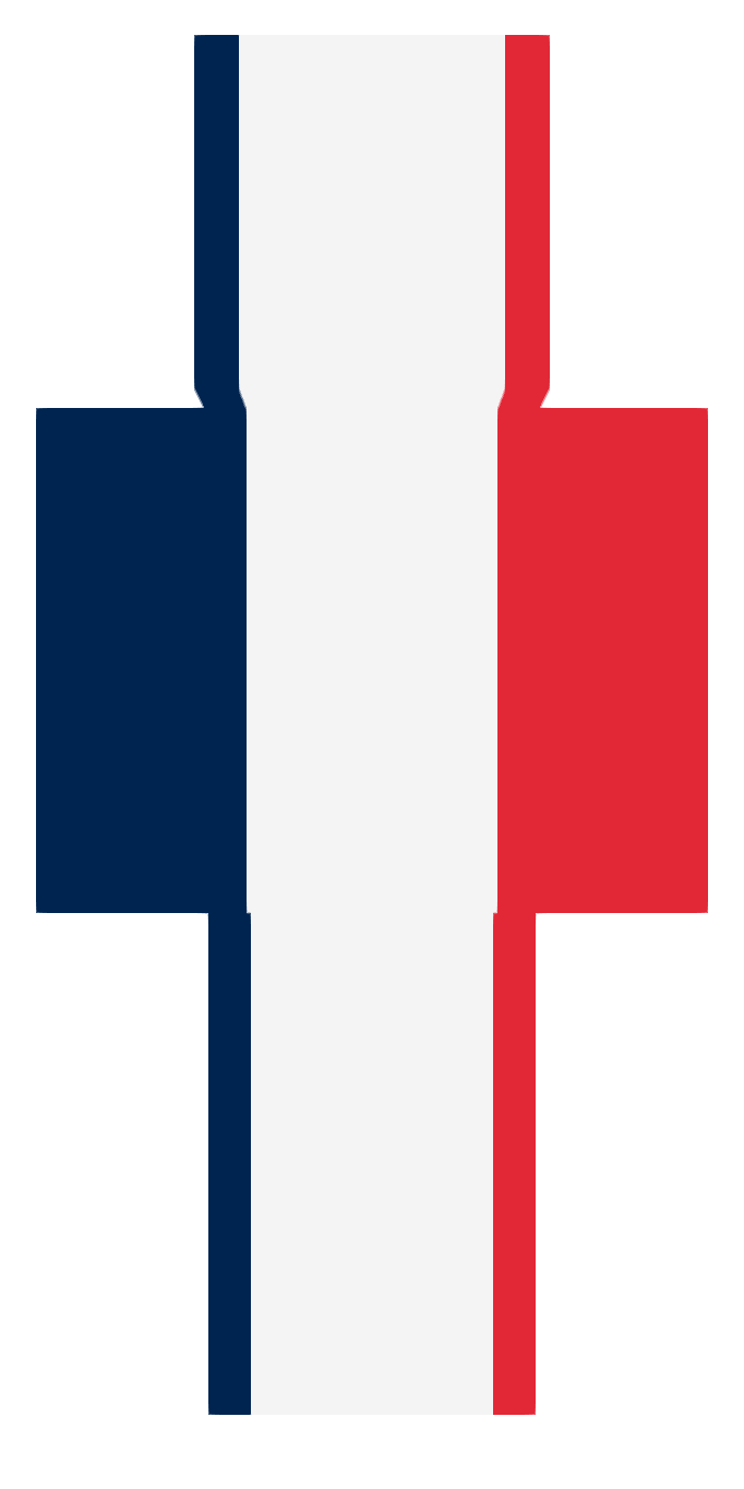 Skin France