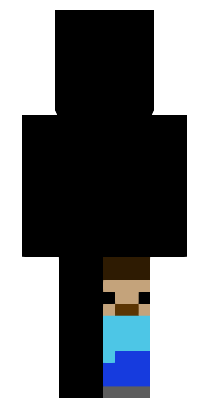 Skin Steve