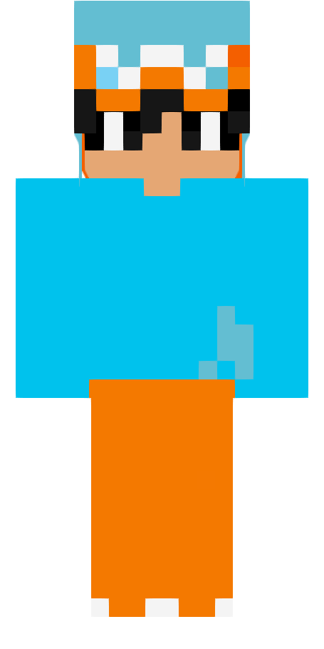 Skin nory