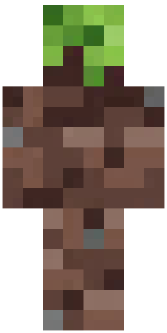 Grass Block skin