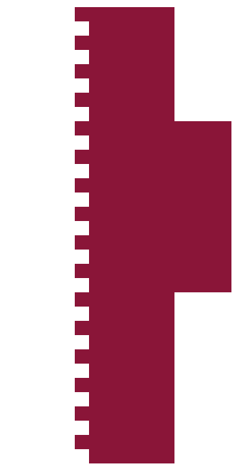 Qatar skin