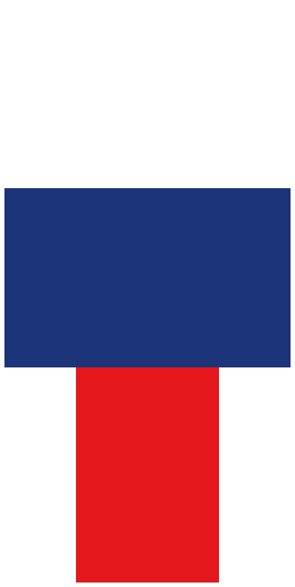 Russia skin