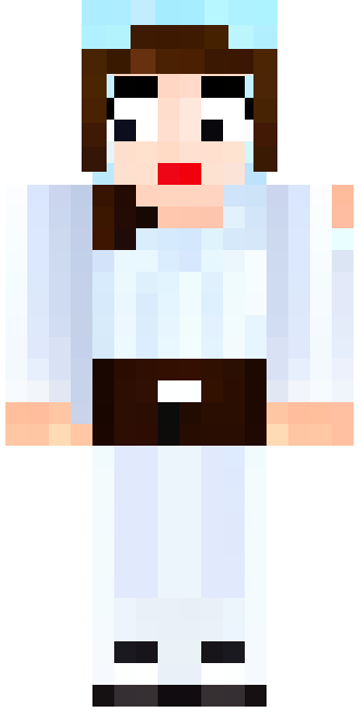 Stewardess skin