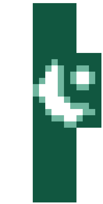 Pakistan skin