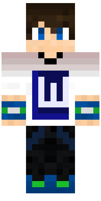 Microsoft Word Developer skin