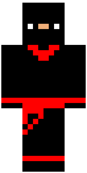 Ninja skin