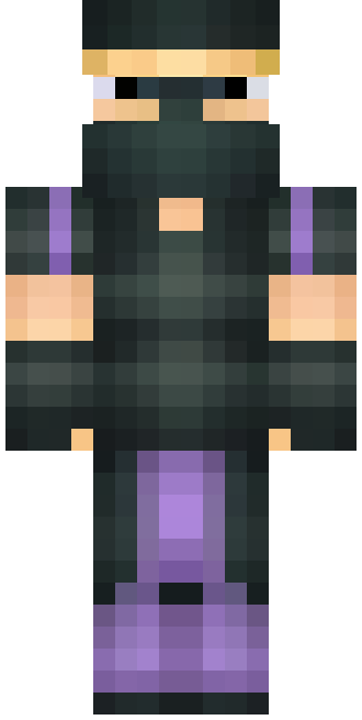Skin Mysterious Ninja