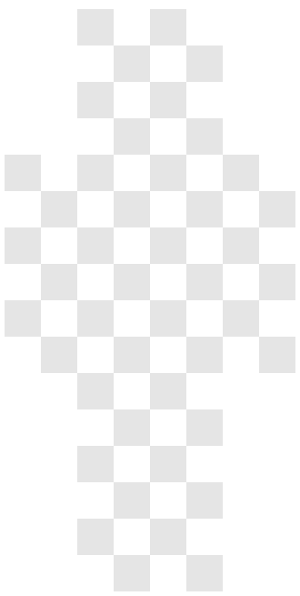 Invisible V2 skin