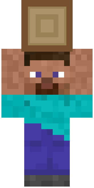 oak log steve skin