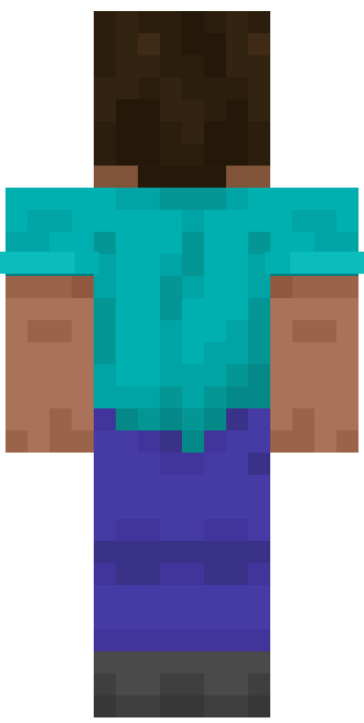 Backwards Steve skin