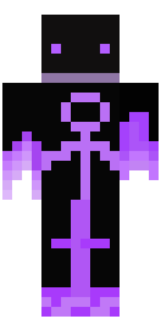 ender turtle skin
