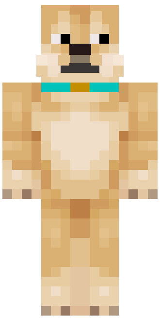 Dog zepředu