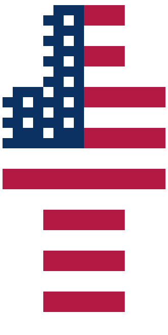 USA skin