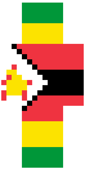 Zimbabwe skin