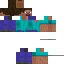 Backwards Steve texture