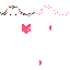 The Heart textura